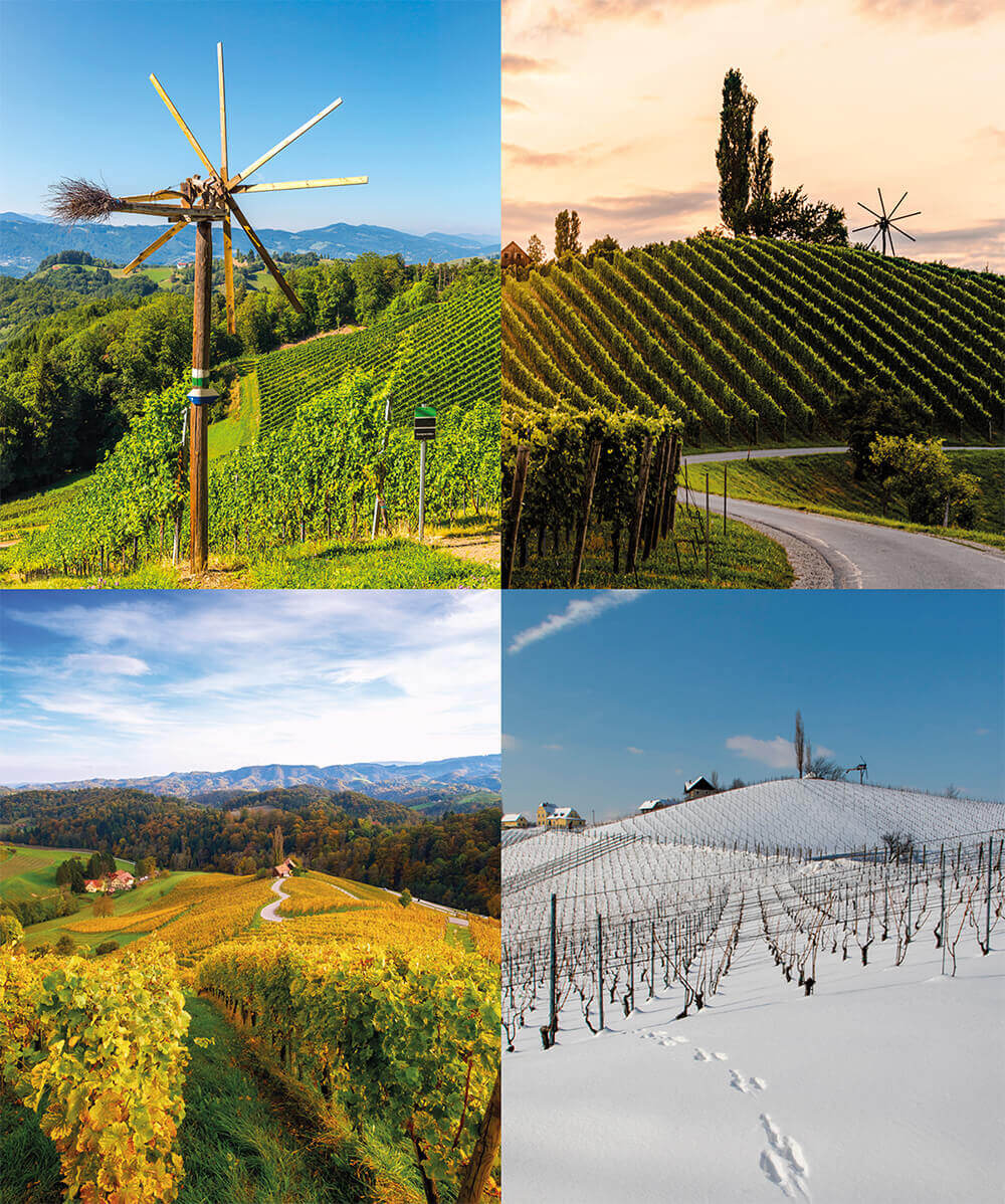 Südsteiermark in vier Jahreszeiten
