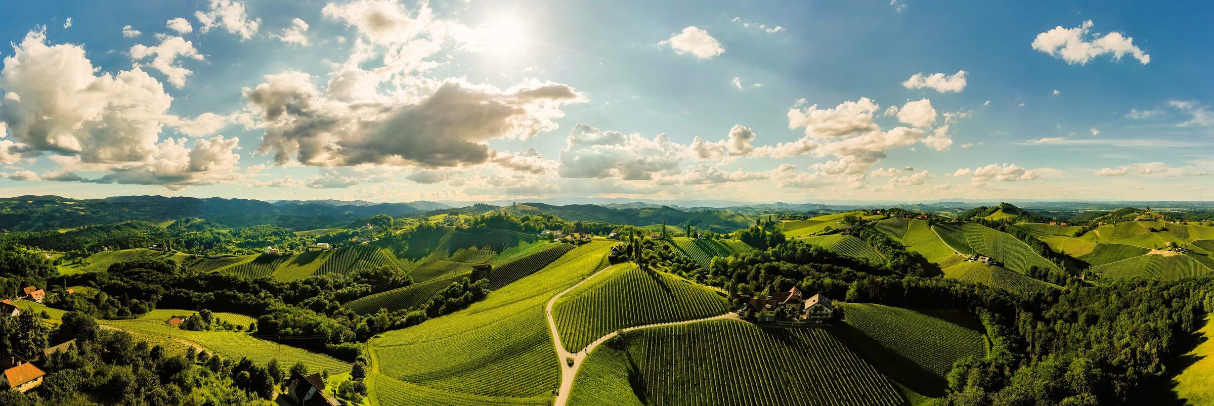 Panorama der südsteirischen Weinberge
